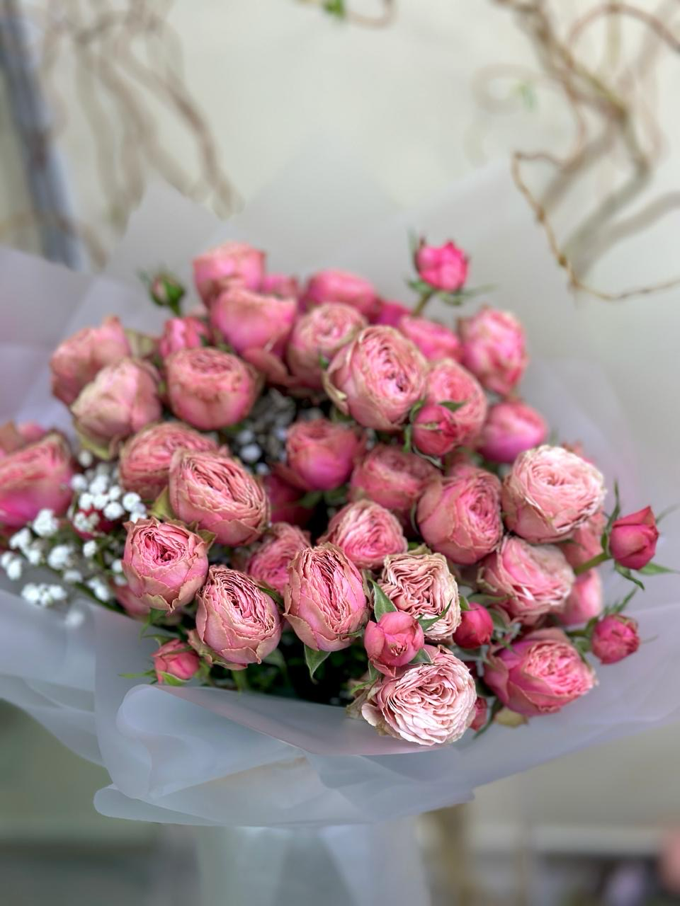 Mini Rosa Bombastic Garden rose bombastic – Celebrating Life Bakery - Store